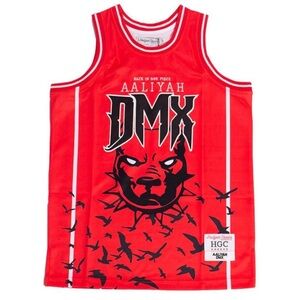 Headgear Classics Embroidered Aaliyah X DMX Basketball Jersey Size M